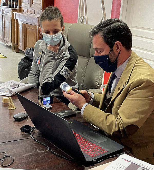 Analyse et expertise d'ivoire